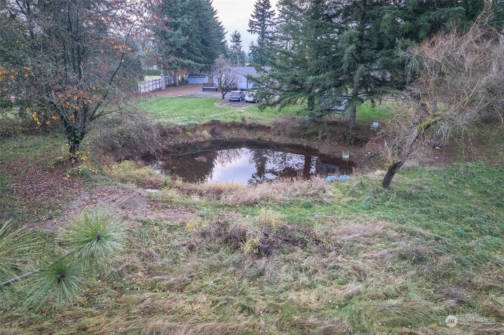 8120 Delta Line Road Custer, WA 98240 - Photo 25 of 40 a view of a yard with a tree