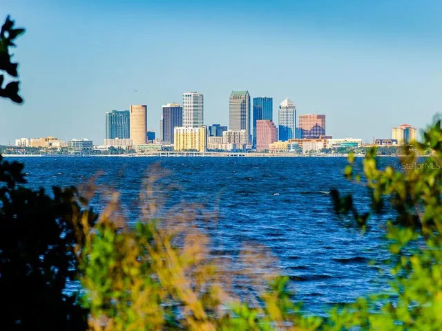 $975,000 | 2808 West Pearl Avenue, Tampa, FL 33611