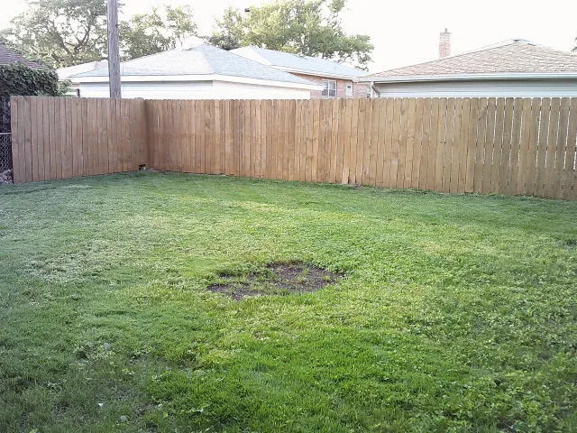 a view of a backyard with wooden fence