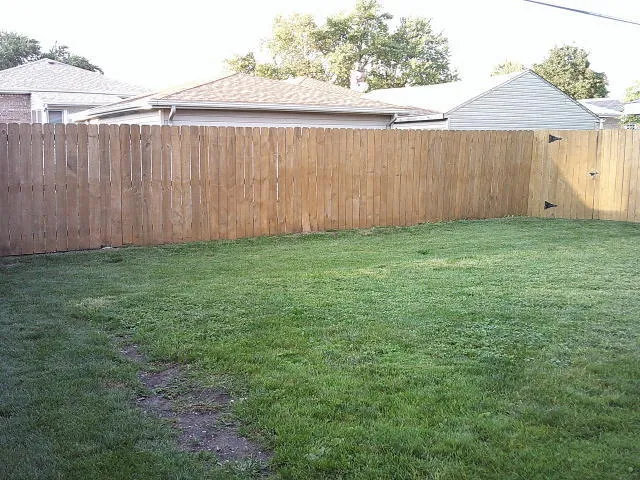 a view of a backyard