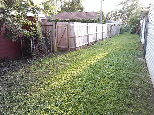 a view of a backyard