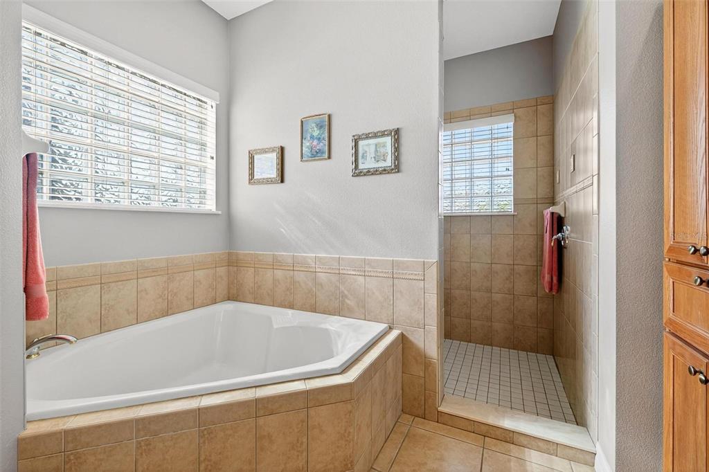19850 Sugarloaf Mountain Road Clermont, FL 34715 - Photo 26 of 100 a bath tub sitting next to a window