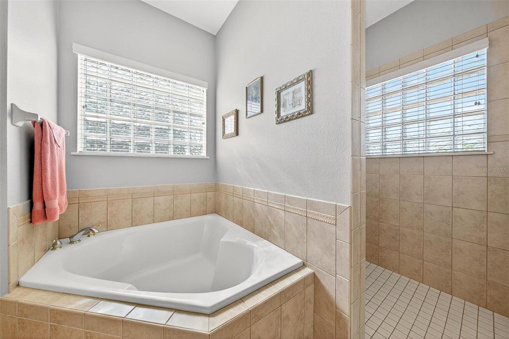 19850 Sugarloaf Mountain Road Clermont, FL 34715 - Photo 28 of 100 a bathroom with a bathtub and a shower