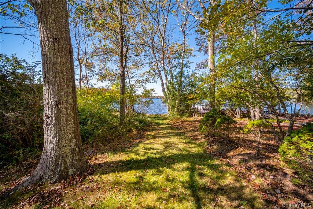 3 Stone Path Rock Hill, NY 12775 - Photo 25 of 33 a view of a yard with plants and trees