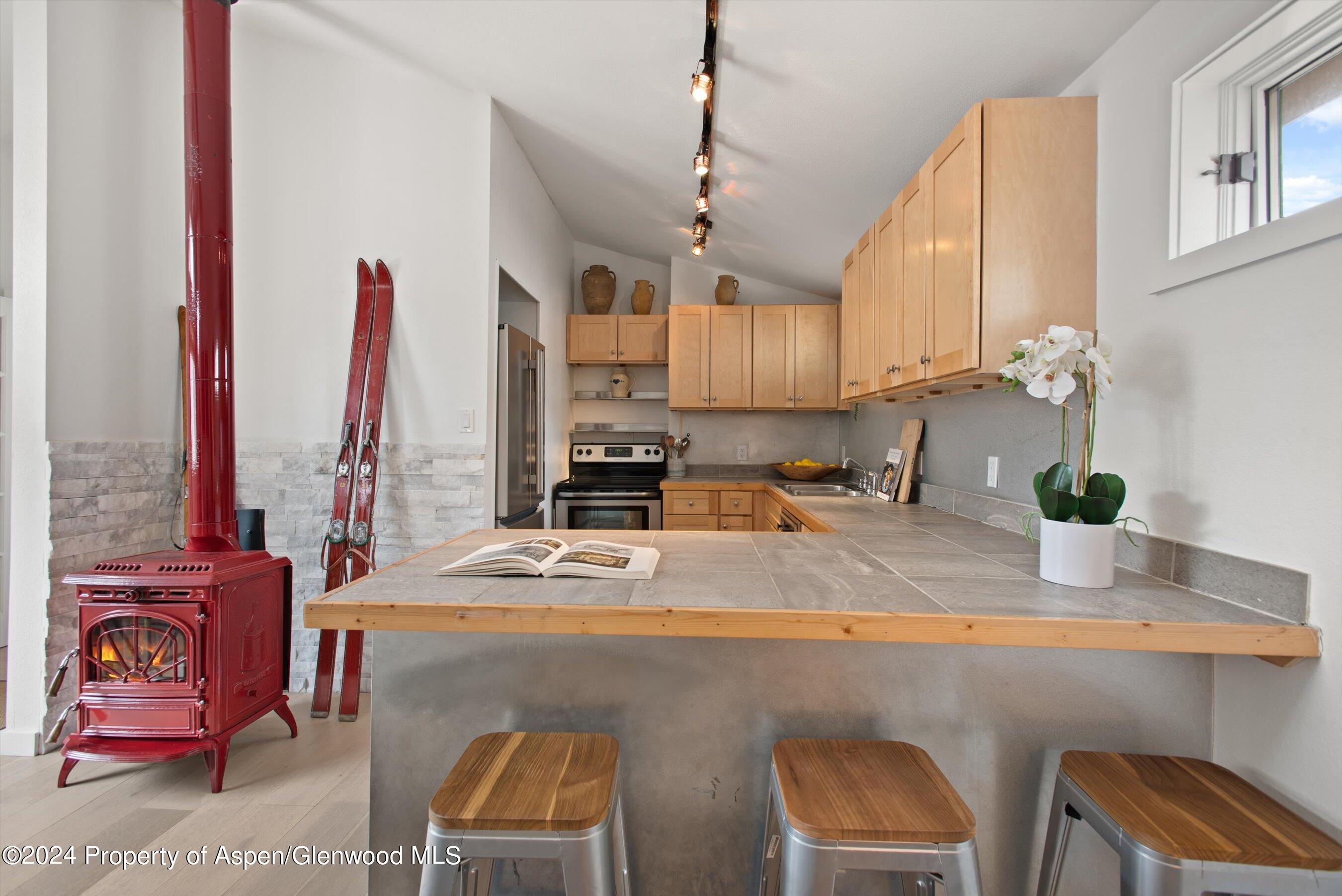 140 Maple Lane Aspen, CO 81611 - Photo 14 of 37