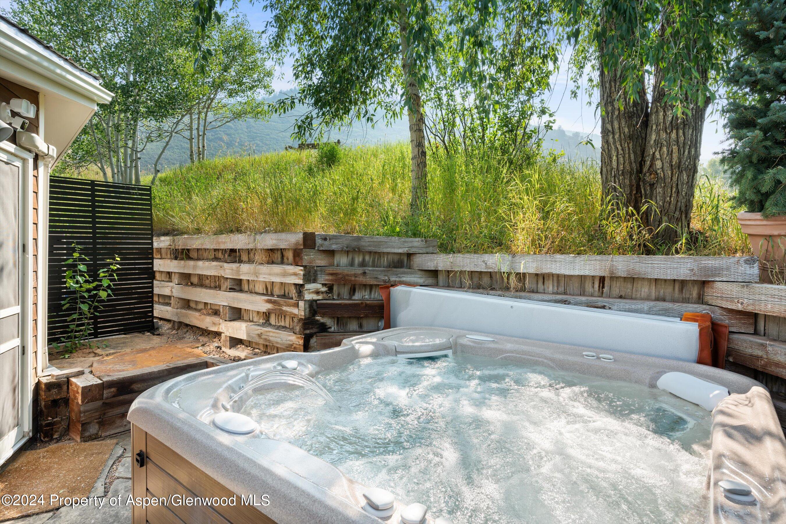 140 Maple Lane Aspen, CO 81611 - Photo 4 of 37 a view of swimming pool with a back yard