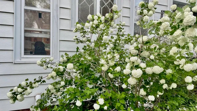 $450,000 | 221 South Winsted Street, Spring Green, WI 53588