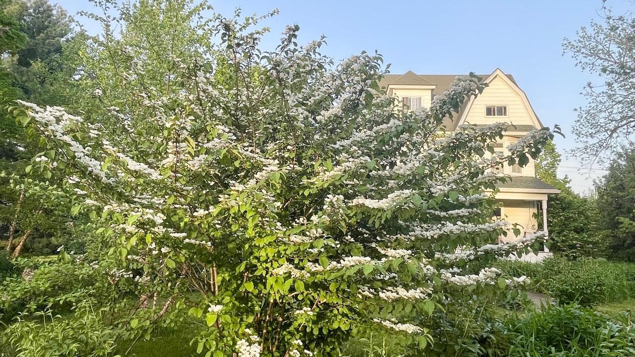 221 South Winsted Street Spring Green, WI 53588 - Photo 64 of 82