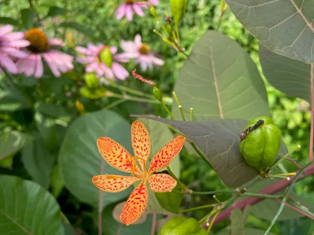 $450,000 | 221 South Winsted Street, Spring Green, WI 53588