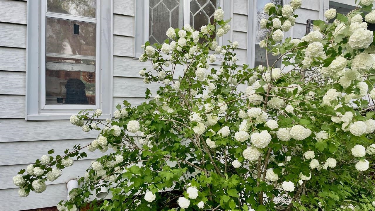 221 South Winsted Street Spring Green, WI 53588 - Photo 65 of 82