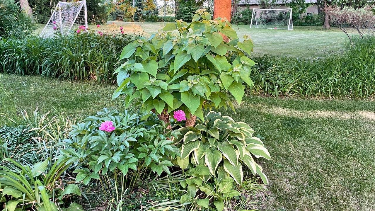 221 South Winsted Street Spring Green, WI 53588 - Photo 67 of 82