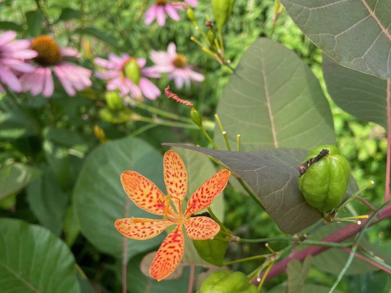 221 South Winsted Street Spring Green, WI 53588 - Photo 68 of 82