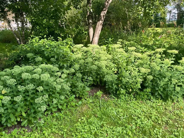 $450,000 | 221 South Winsted Street, Spring Green, WI 53588