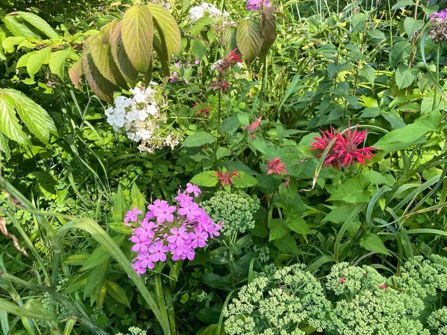 $450,000 | 221 South Winsted Street, Spring Green, WI 53588