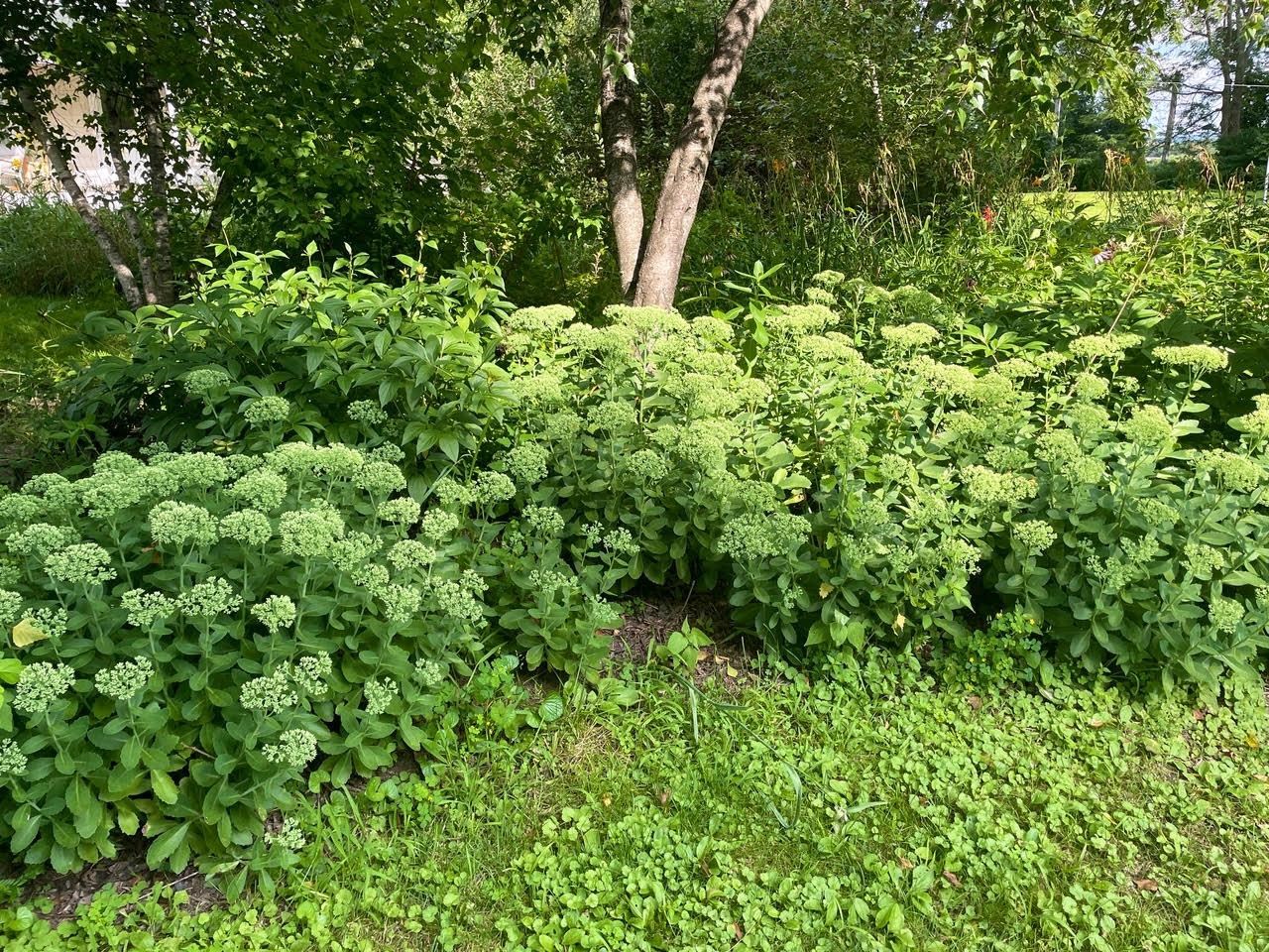 221 South Winsted Street Spring Green, WI 53588 - Photo 72 of 82