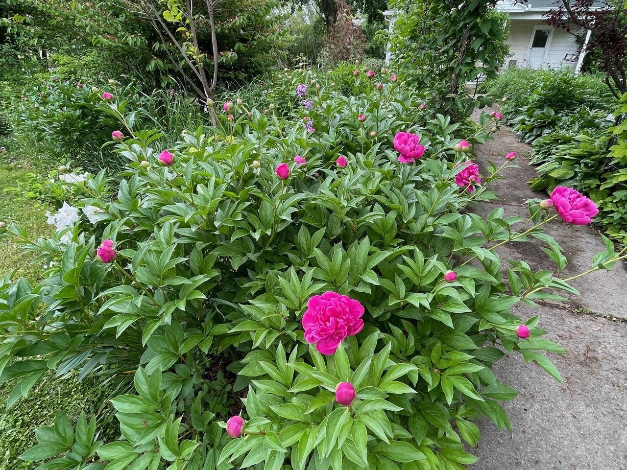 221 South Winsted Street Spring Green, WI 53588 - Photo 75 of 82