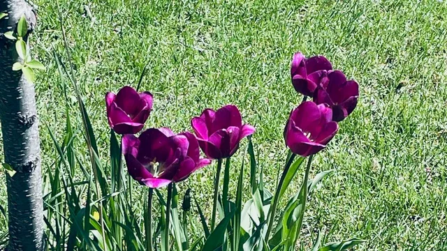 $450,000 | 221 South Winsted Street, Spring Green, WI 53588