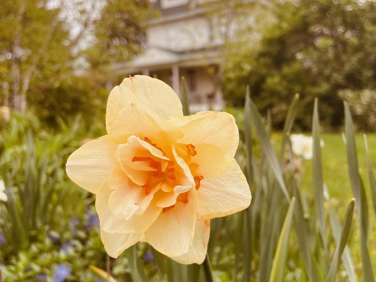 221 South Winsted Street Spring Green, WI 53588 - Photo 81 of 82