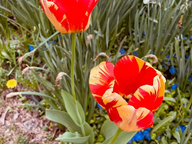 $450,000 | 221 South Winsted Street, Spring Green, WI 53588