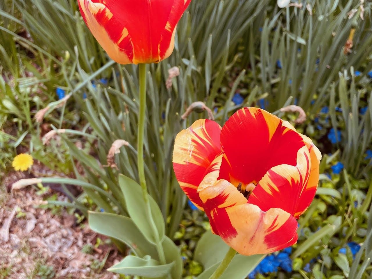 221 South Winsted Street Spring Green, WI 53588 - Photo 82 of 82