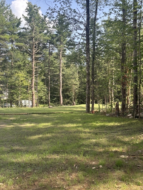 14 A Welch Avenue, Unit A Rutland, MA 01543 - Photo 25 of 25 a view of a grassy field with trees