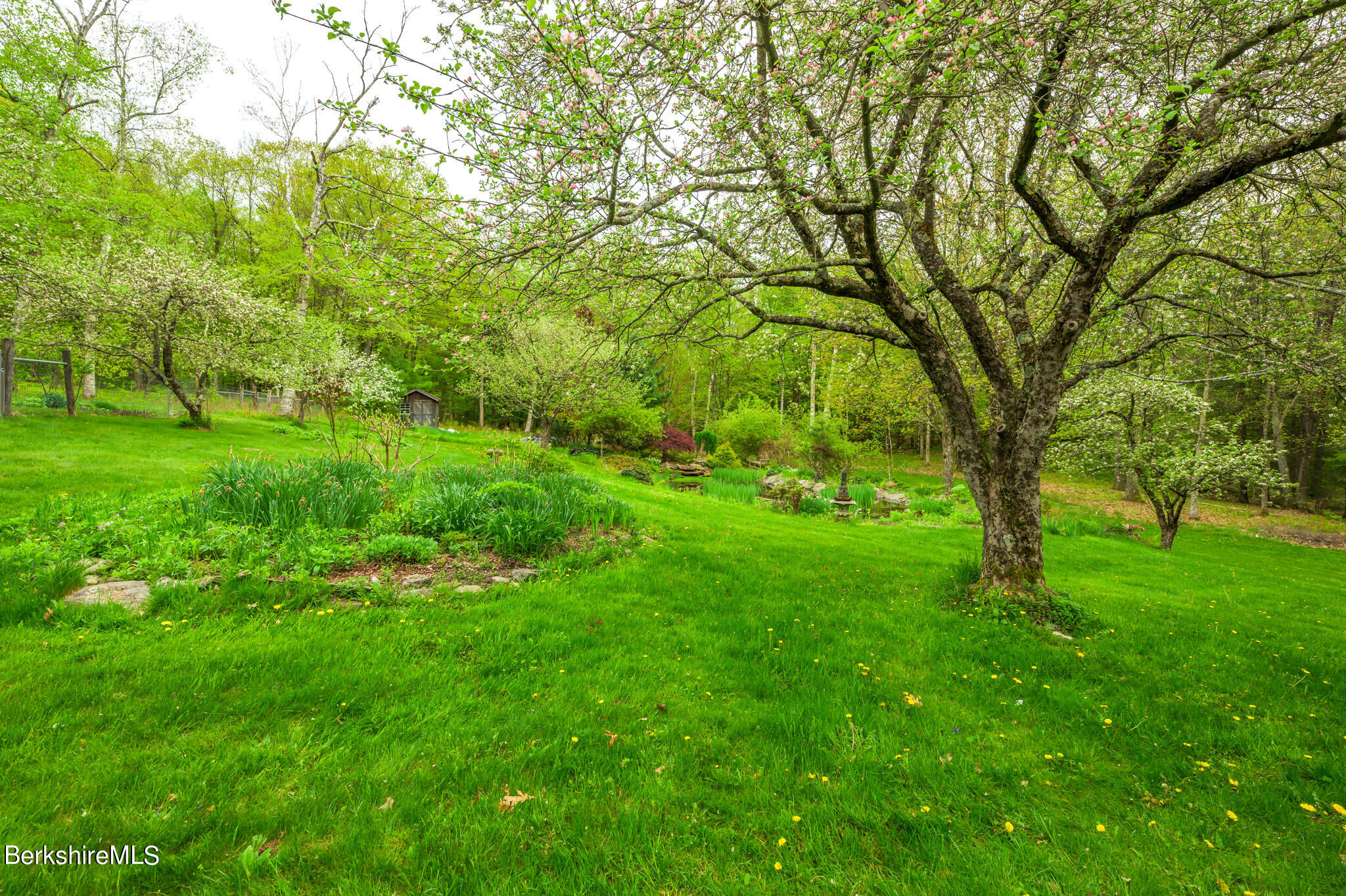 258 E Road Alford, MA 01266 - Photo 37 of 38 a view of yard with green space