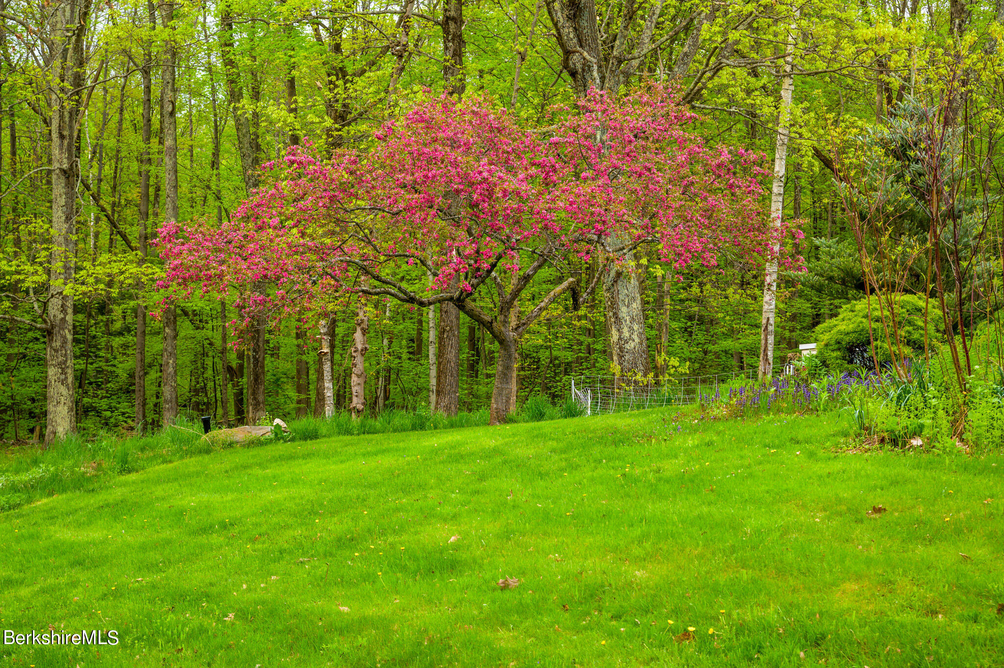 258 E Road Alford, MA 01266 - Photo 38 of 38 a backyard of a house with lots of green space and trees all around