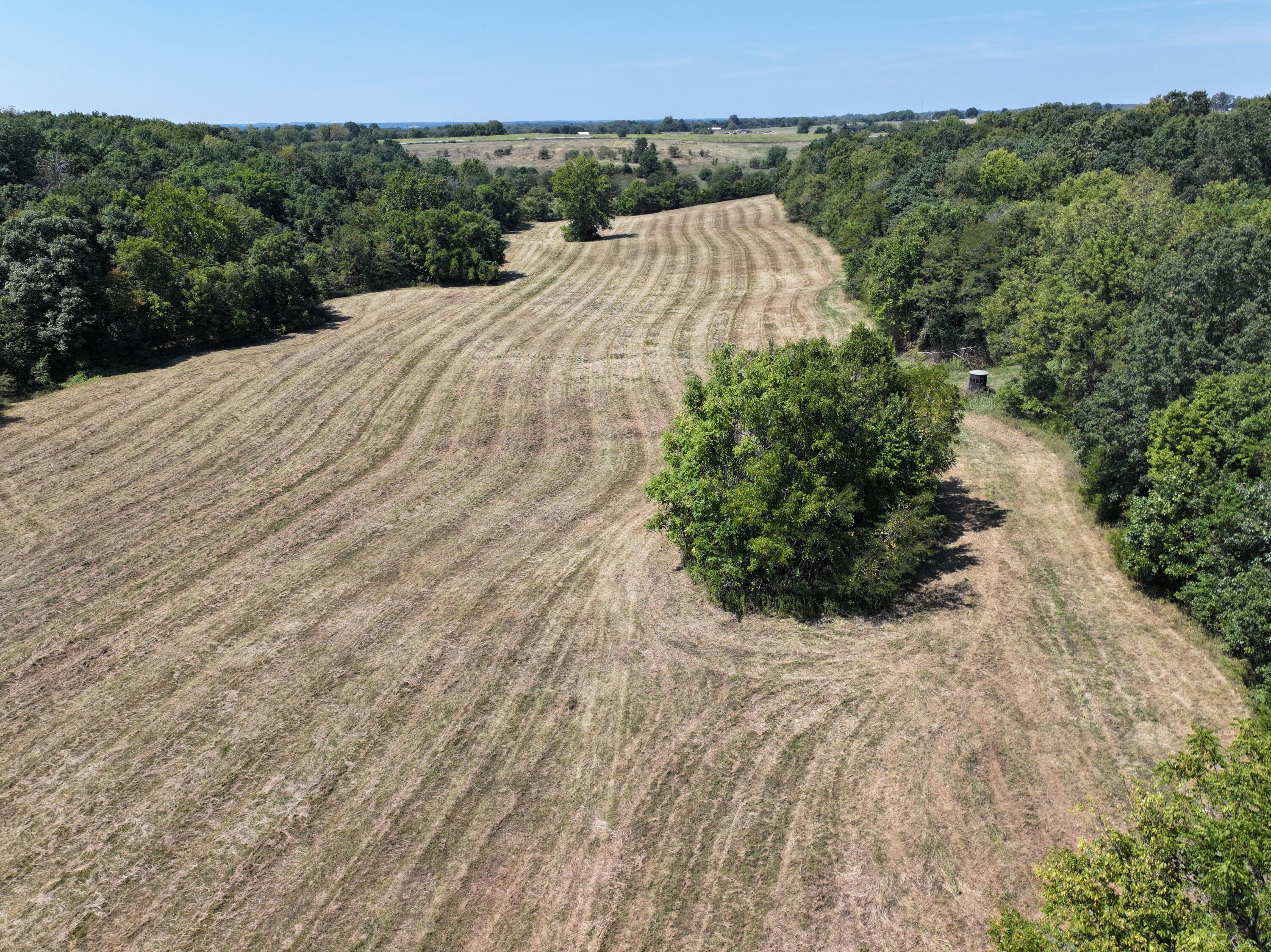 B South 140th Road Morrisville, MO 65710 - Photo 20 of 27 Morrisville 20