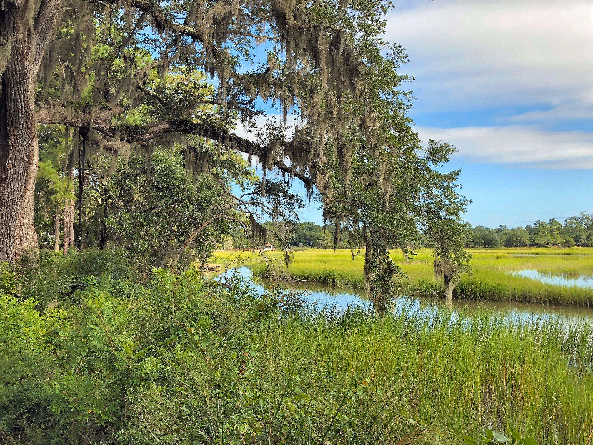 7273 Commodore Road Meggett, SC 29449 - Photo 2 of 26 View to the left!