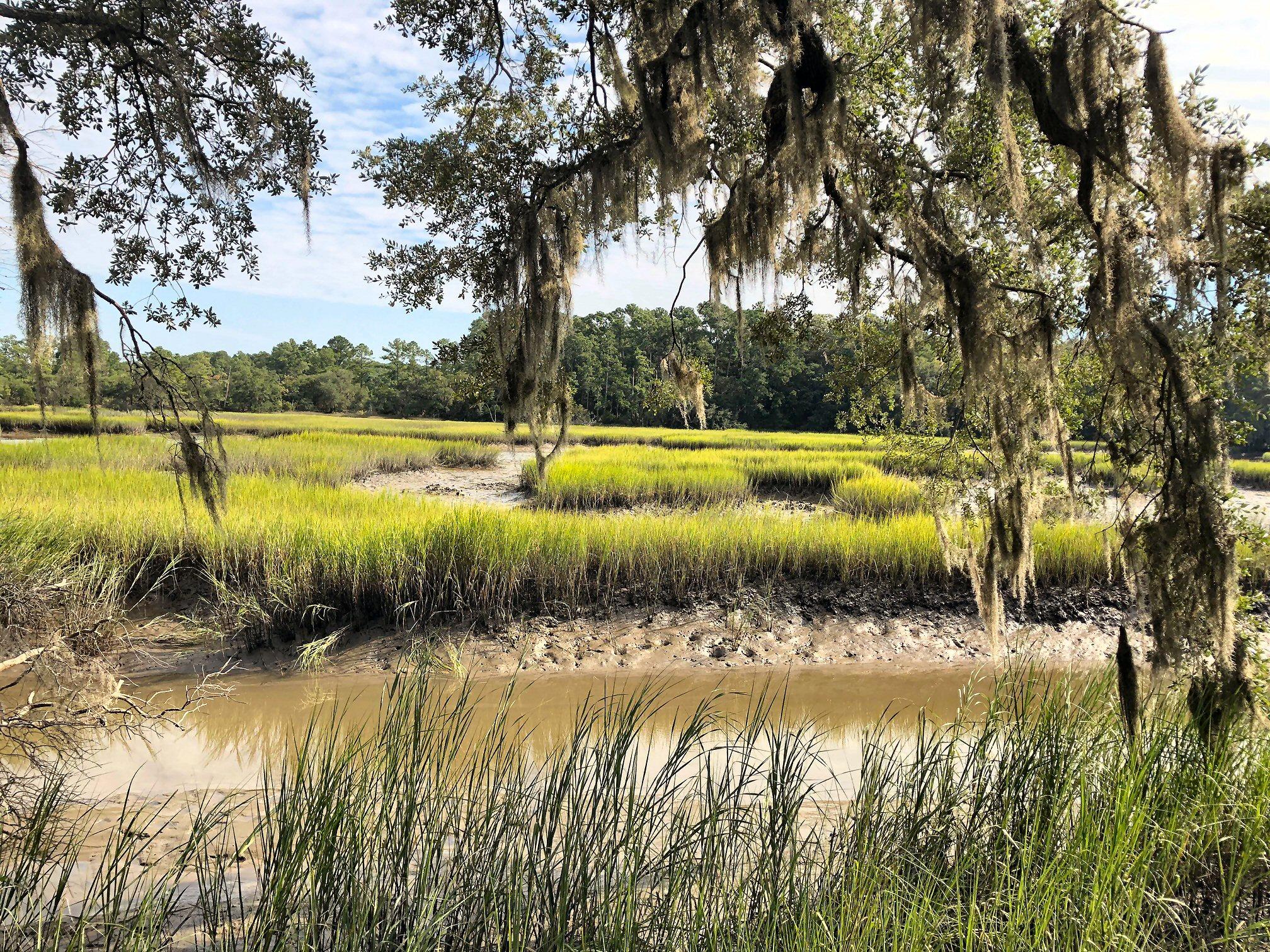 7273 Commodore Road Meggett, SC 29449 - Photo 11 of 26 Low tide marsh views!