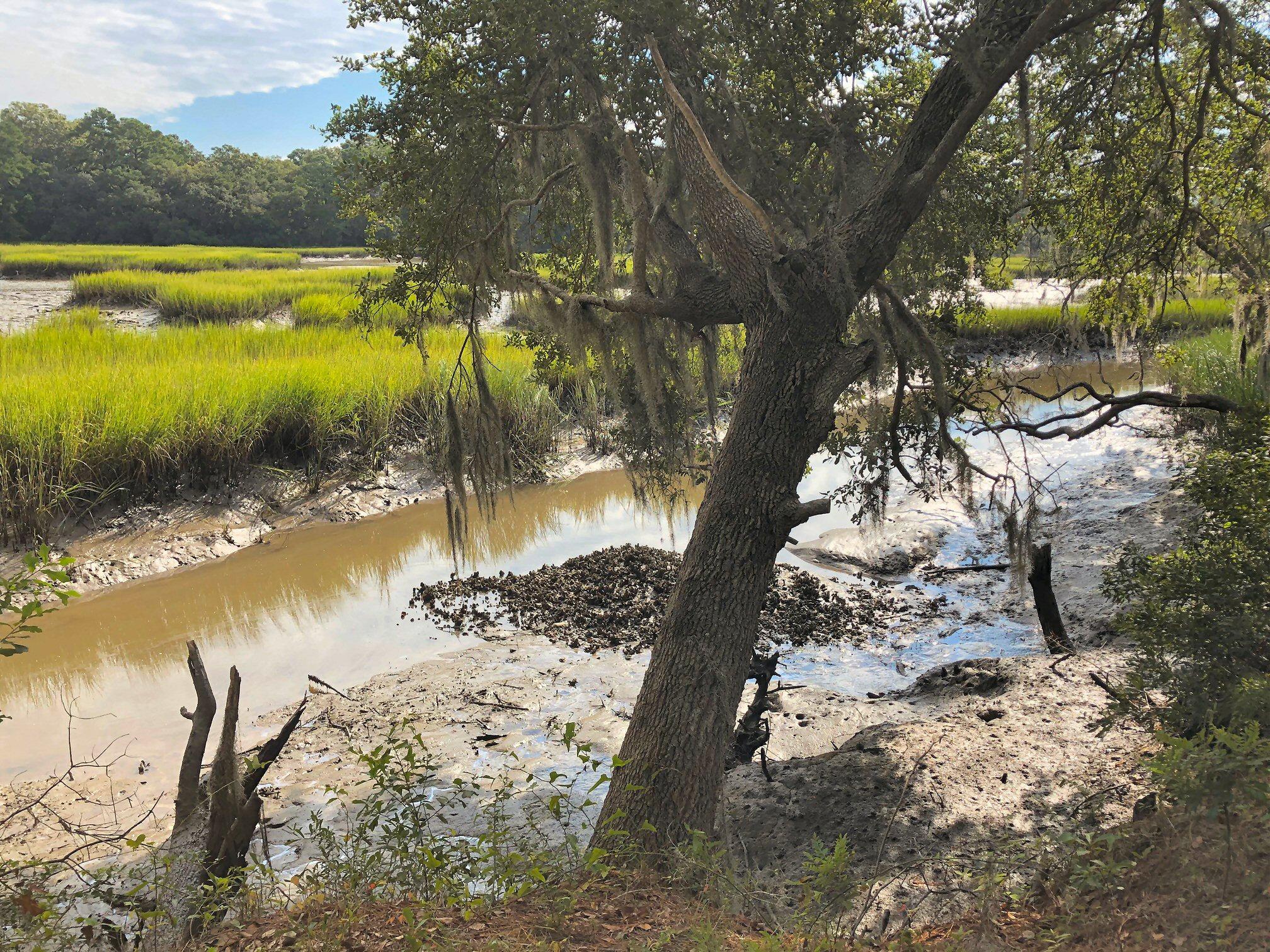 7273 Commodore Road Meggett, SC 29449 - Photo 12 of 26 Low tide pic!