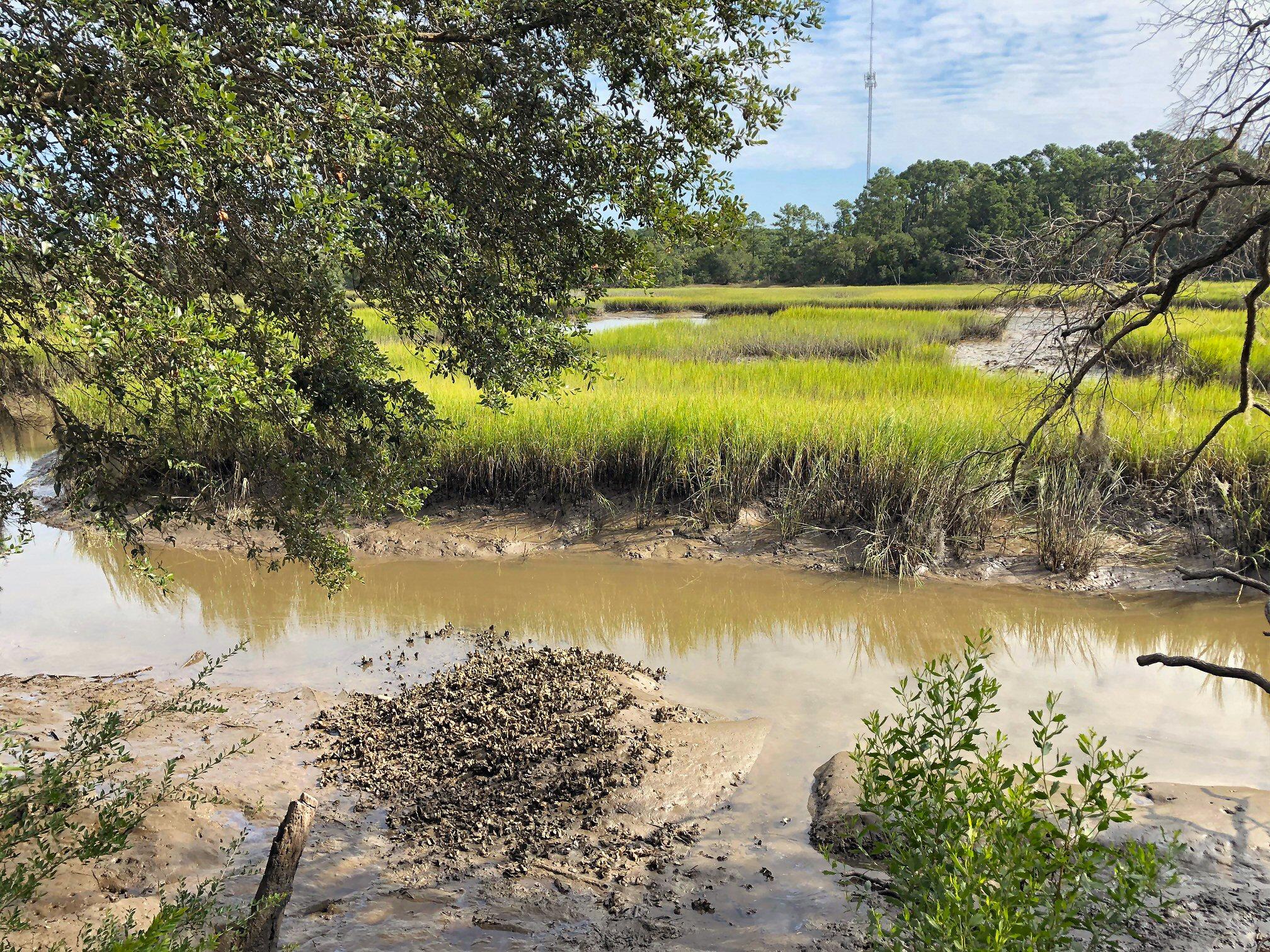 7273 Commodore Road Meggett, SC 29449 - Photo 13 of 26 Low tide pic!