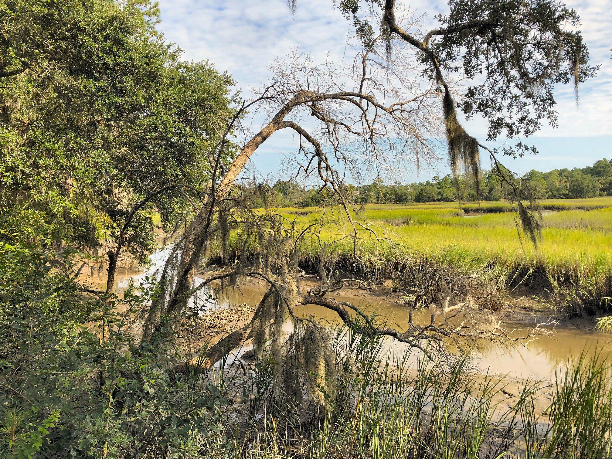 7273 Commodore Road Meggett, SC 29449 - Photo 14 of 26 Low tide left view!
