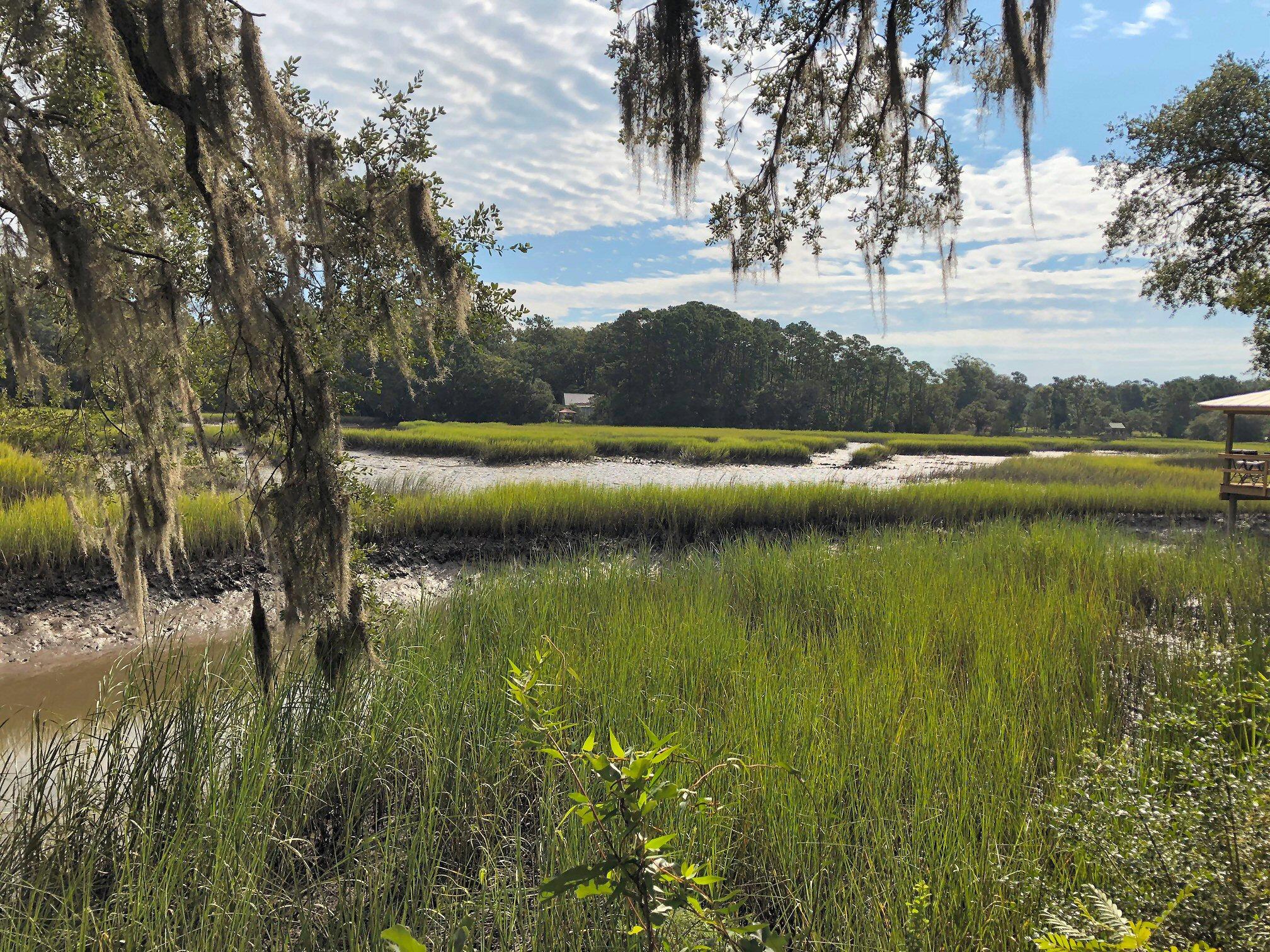 7273 Commodore Road Meggett, SC 29449 - Photo 15 of 26 Low tide tight corner view!