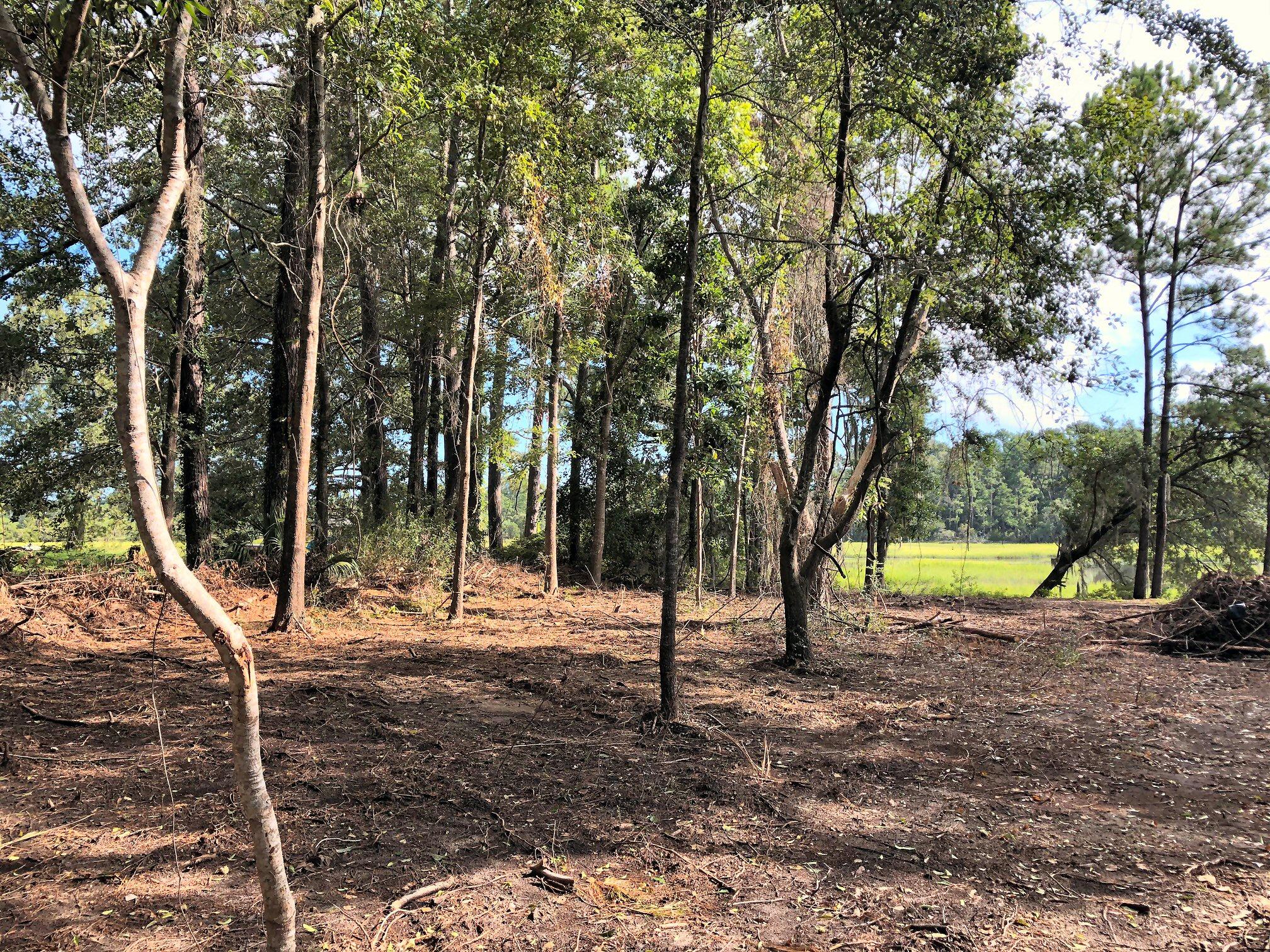 7273 Commodore Road Meggett, SC 29449 - Photo 17 of 26 Cleared and ready to build!