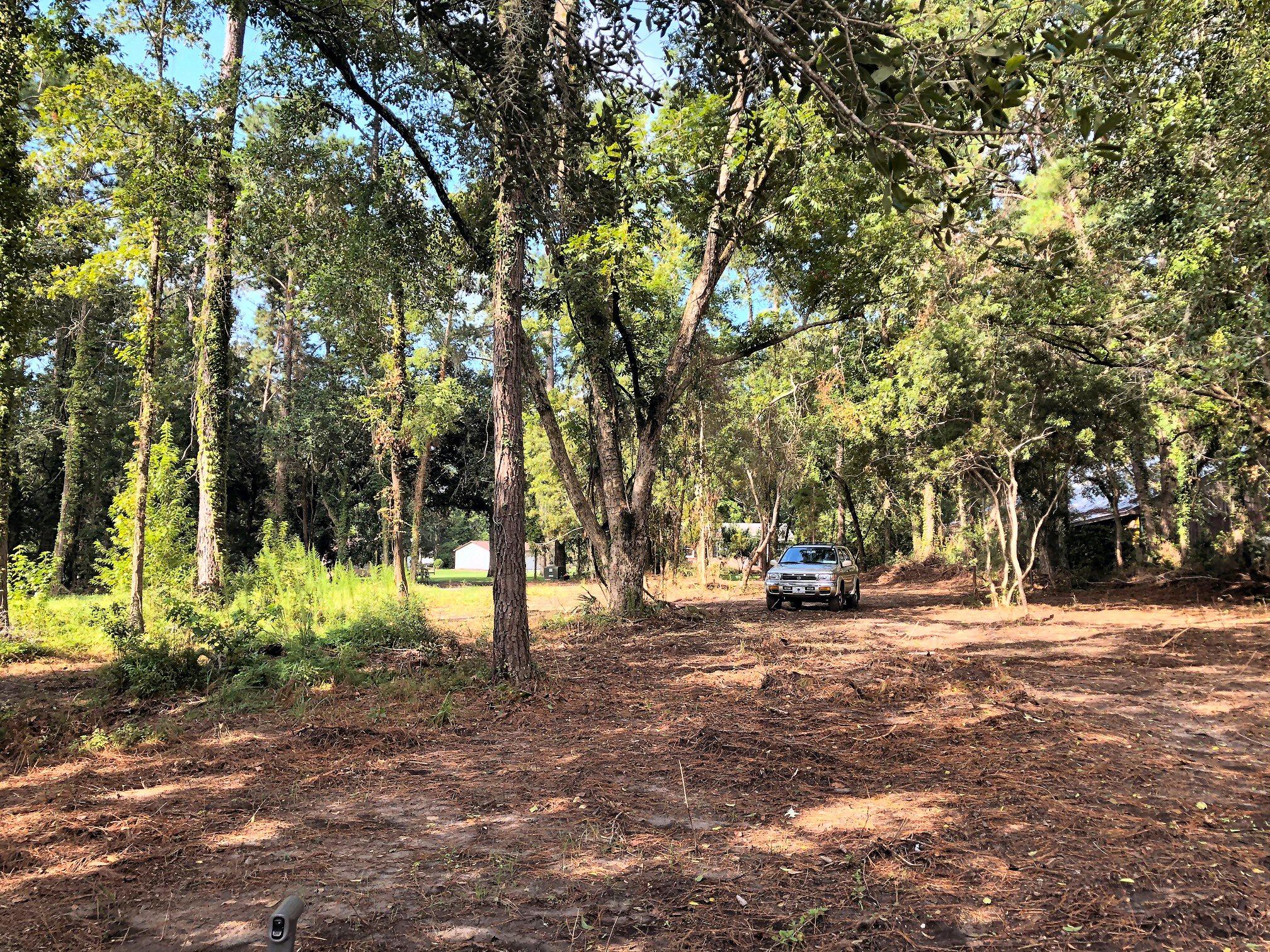 7273 Commodore Road Meggett, SC 29449 - Photo 18 of 26 Front yard view from homesite!
