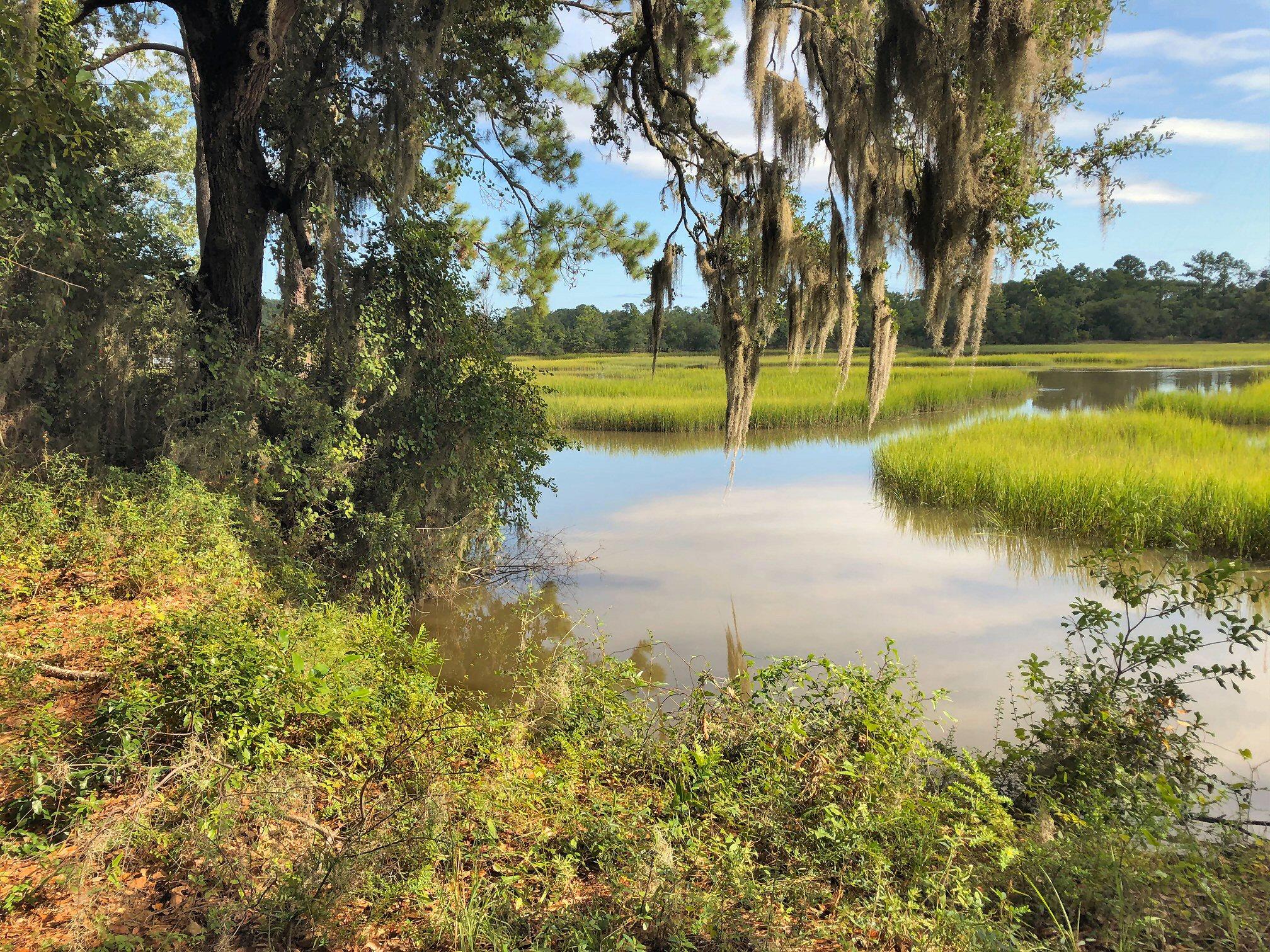 7273 Commodore Road Meggett, SC 29449 - Photo 3 of 26 Left waterfront corner!