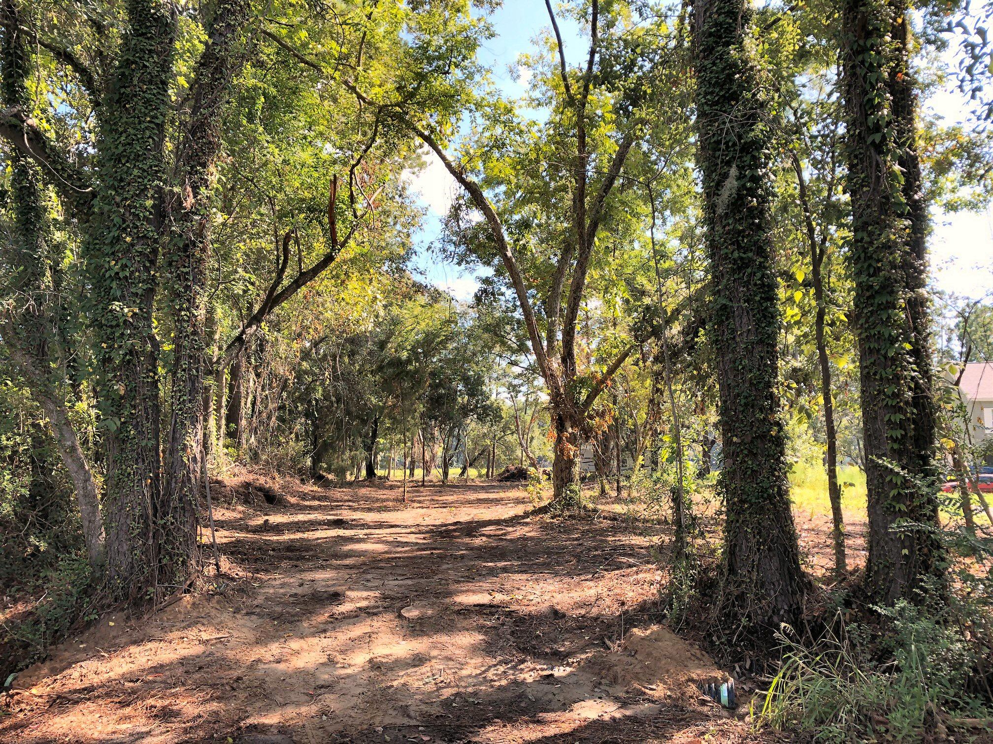7273 Commodore Road Meggett, SC 29449 - Photo 23 of 26 Cleared driveway leading to the water!