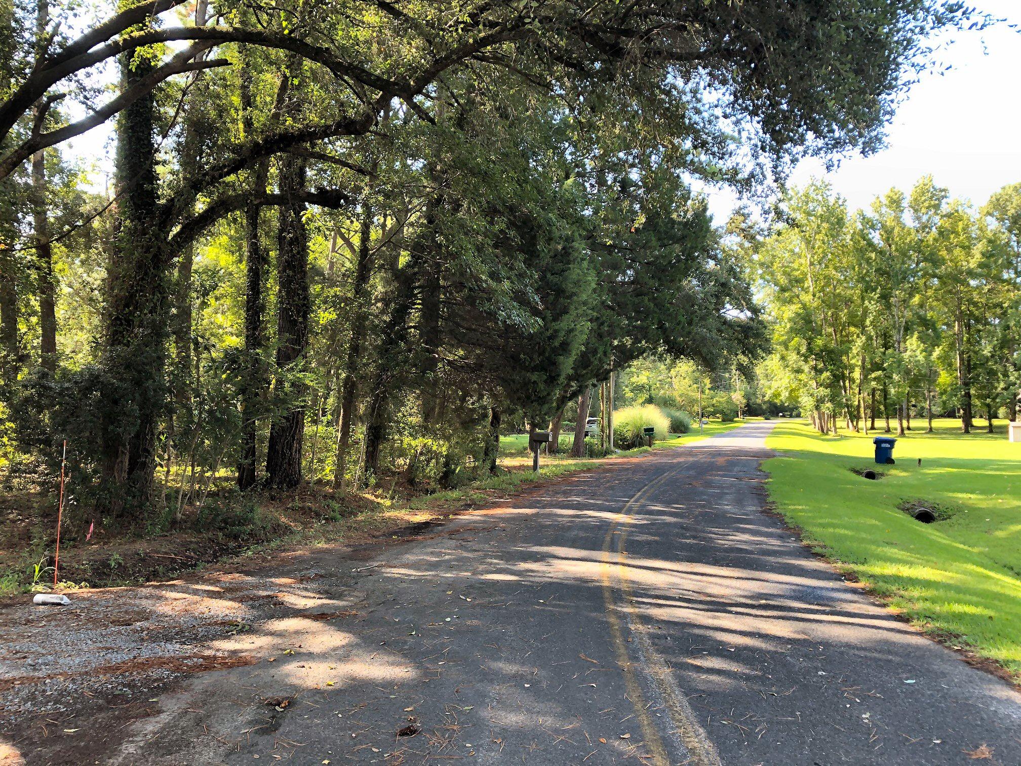 7273 Commodore Road Meggett, SC 29449 - Photo 25 of 26 Street view! Very private!