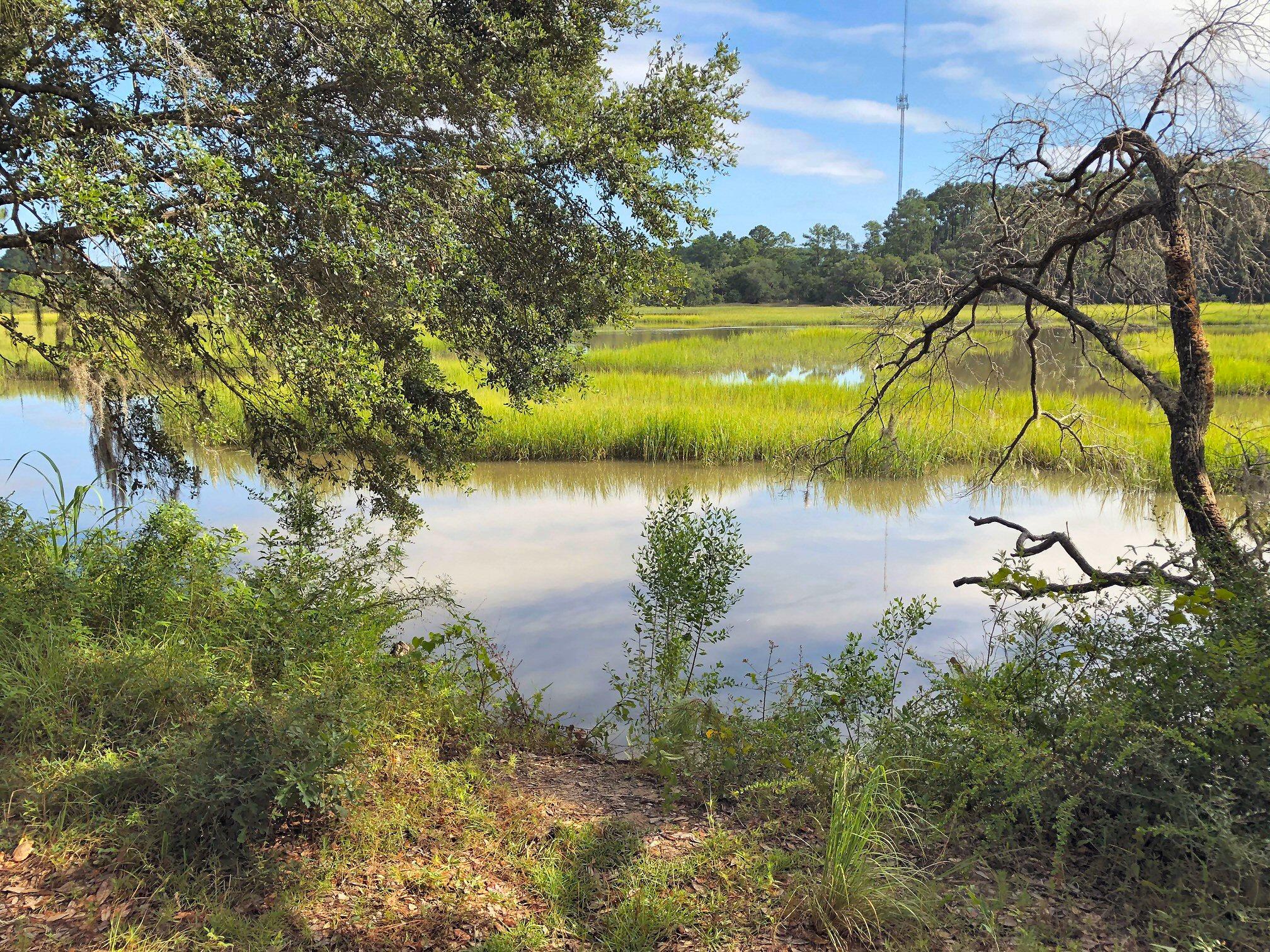 7273 Commodore Road Meggett, SC 29449 - Photo 4 of 26 High Bluff!