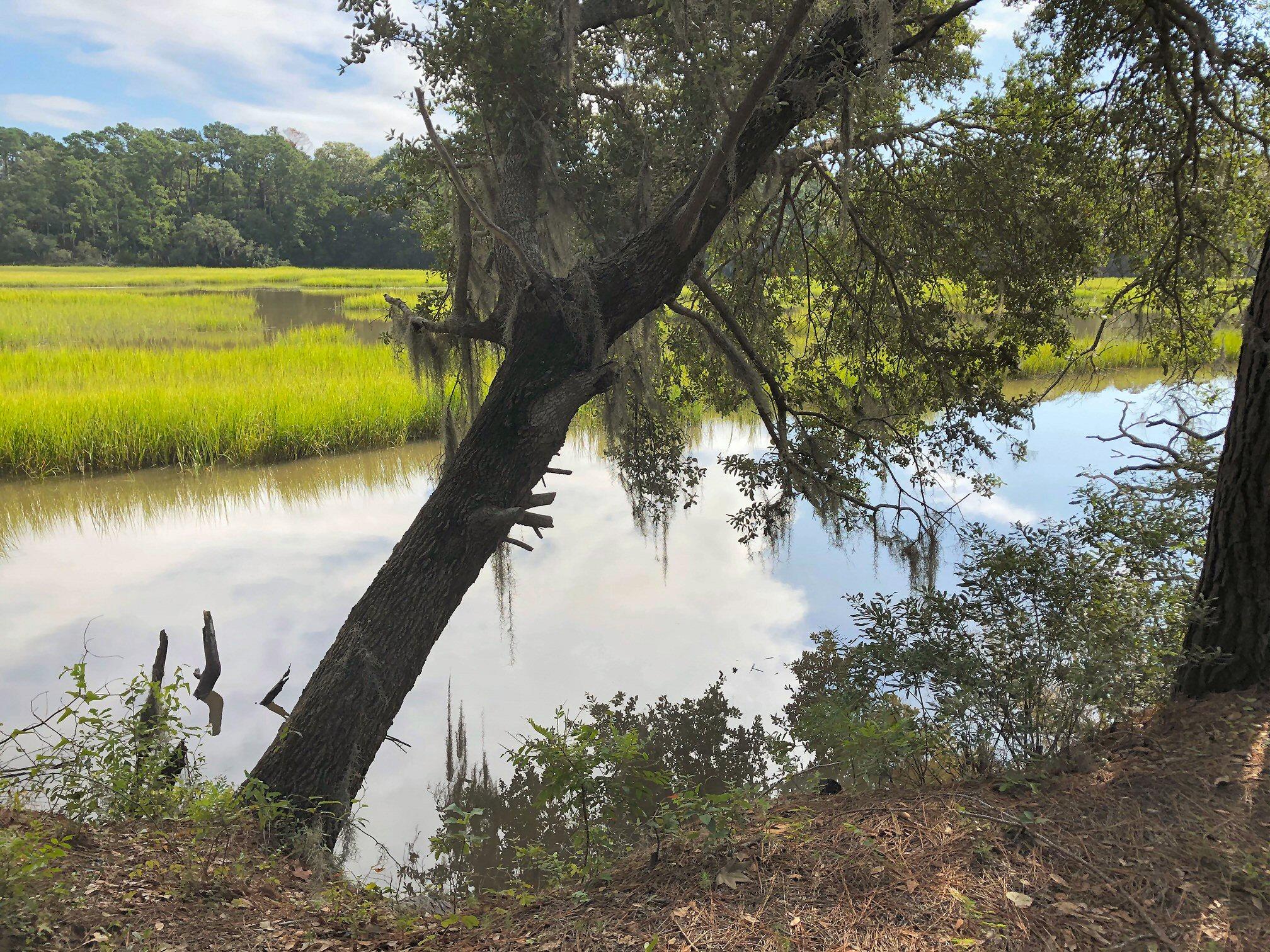 7273 Commodore Road Meggett, SC 29449 - Photo 5 of 26 View toward the right!