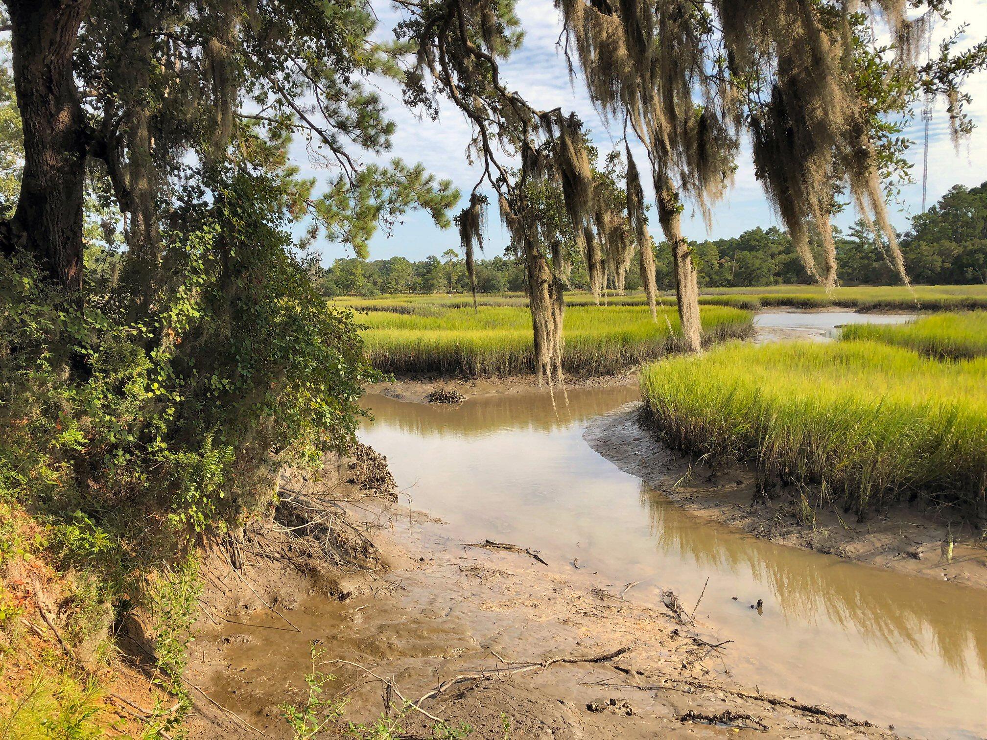 7273 Commodore Road Meggett, SC 29449 - Photo 9 of 26 Split in the creek to Swinton Creek!
