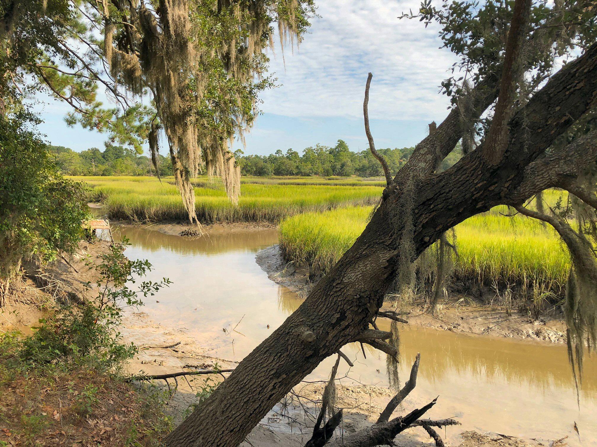 7273 Commodore Road Meggett, SC 29449 - Photo 10 of 26 Low tide left corner!