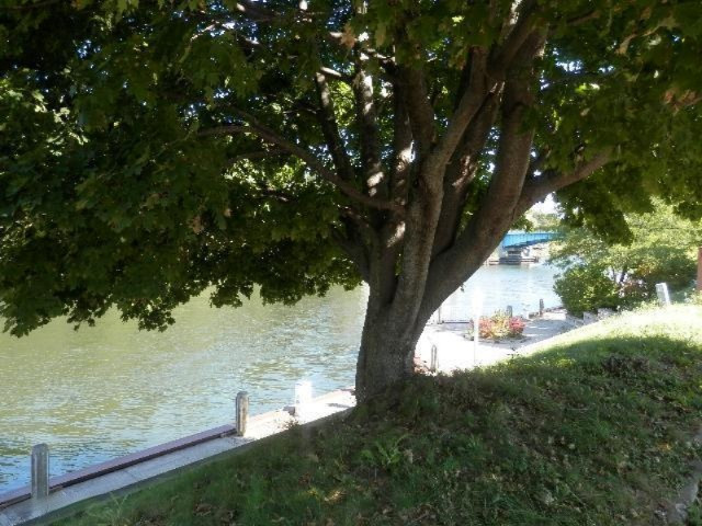 260 3rd Street Manistee, MI 49660 - Photo 29 of 32 Shady area along the Riverwalk