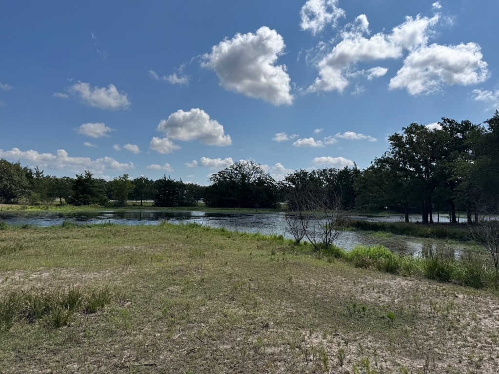 13115 Schoenemann Road Carmine, TX 78932 - Photo 12 of 15 a view of a lake in middle of the forest