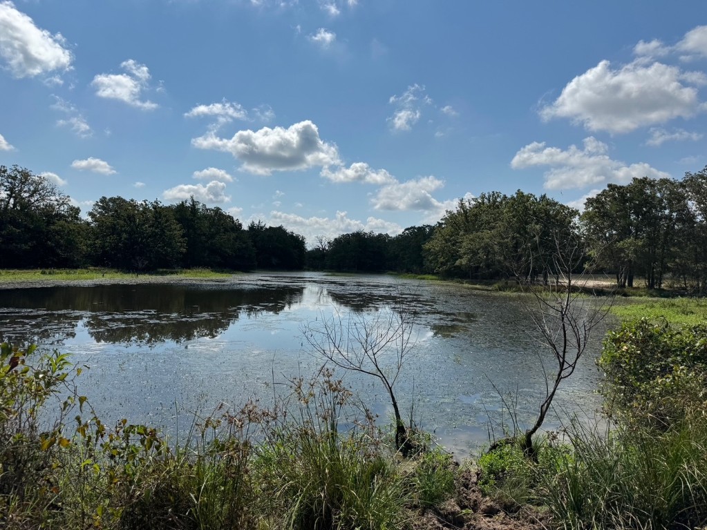 13115 Schoenemann Road Carmine, TX 78932 - Photo 13 of 15 a view of a water pond with green yard