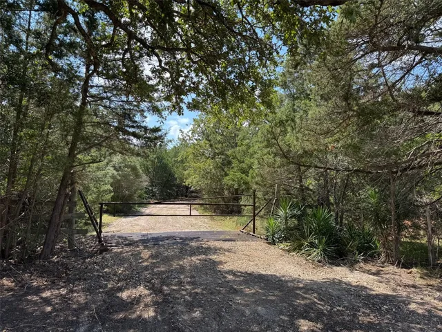 a view of a forest with trees in the background