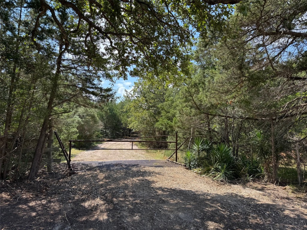 13115 Schoenemann Road Carmine, TX 78932 - Photo 15 of 15 a view of a forest with trees in the background