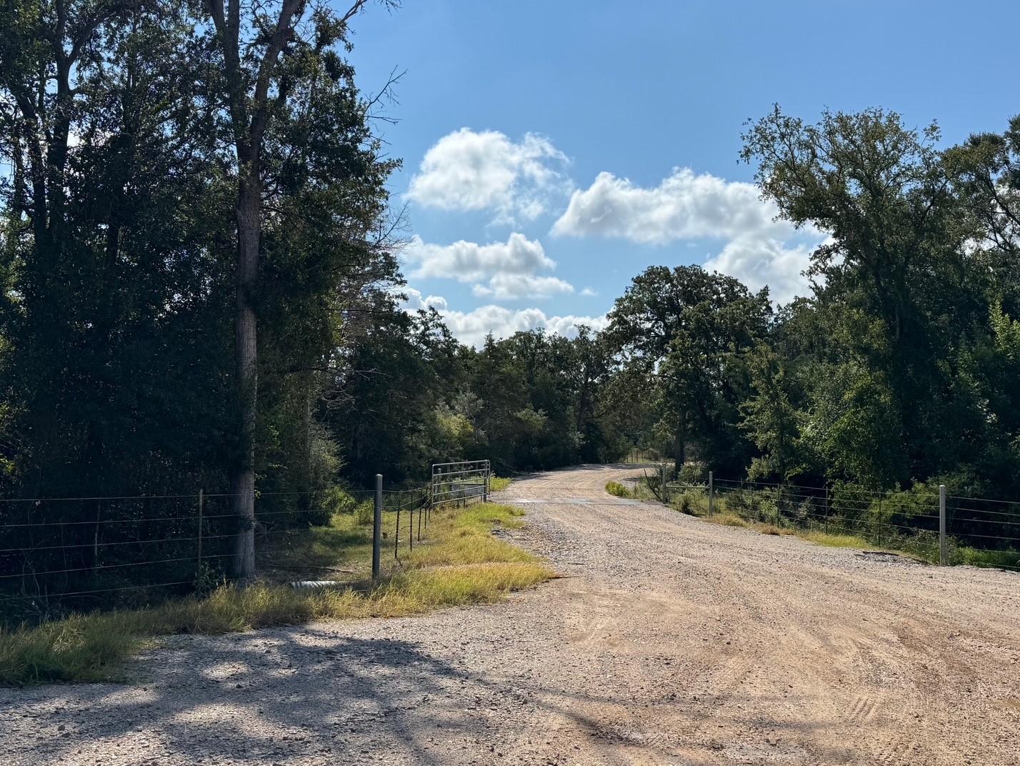 13115 Schoenemann Road Carmine, TX 78932 - Photo 3 of 15