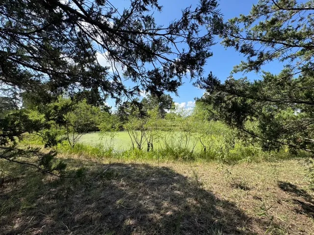 a view of a lake with a tree